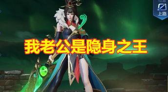 我老公是打野之王,我老公的荣耀征程