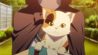 日本动漫猫视频,日本动漫猫视频里的温馨瞬间