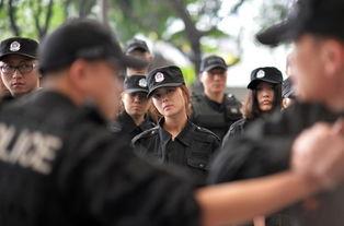 驻在刑警在线播放,揭秘犯罪现场，守护正义之光