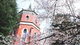 日本最漂亮的大学校园,盘点那些令人心醉的大学校园美景”