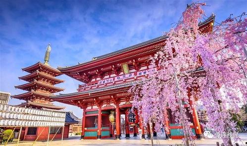 日本 喜多村 mym,日本流行文化界的璀璨新星