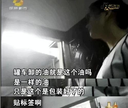 衡阳记者爆料事件视频播放,视频揭露惊人真相