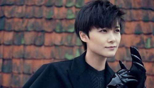 演员的诞生男明星