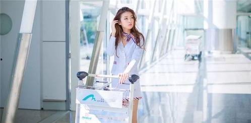 经典制服丝袜系列番号,经典制服系列番号背后的故事与风情