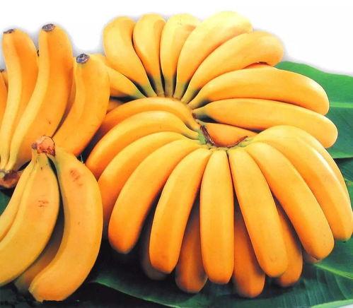 吃大香蕉无码视频,大香蕉无码视频引发的伦理争议