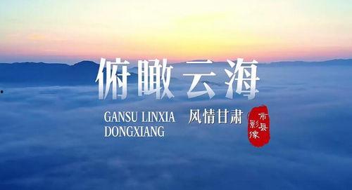 甘肃爆料热点新闻,揭秘肃北草原神秘事件背后的真相