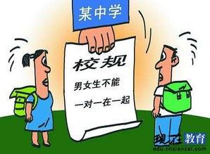 丝袜女教师 动态图,魅力四溢的教育风采