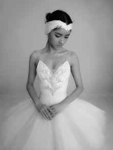 张予曦最新爆料解说视频,最新爆料视频背后的故事与真相