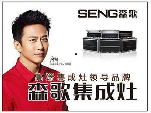 专业明星资源,揭秘专业明星资源背后的魅力与机遇